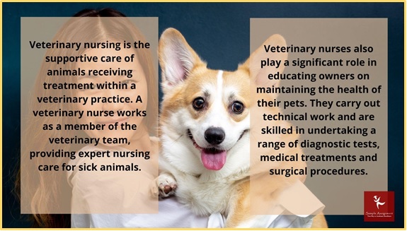 veterinary nursing homework help fact 