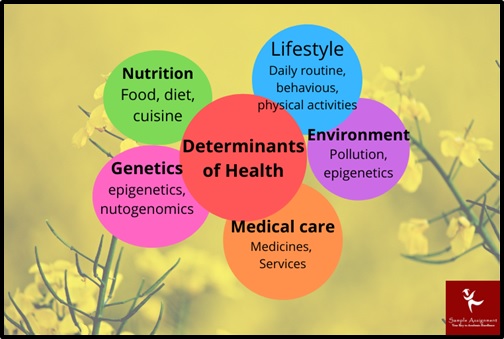 400870 population health and society assessment answer