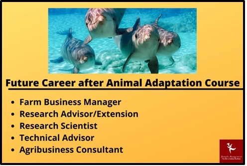 animal adaptations assignment help future career