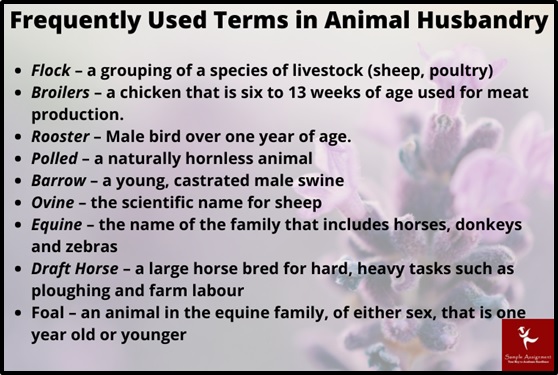 animal husbandry assignment help sample terms