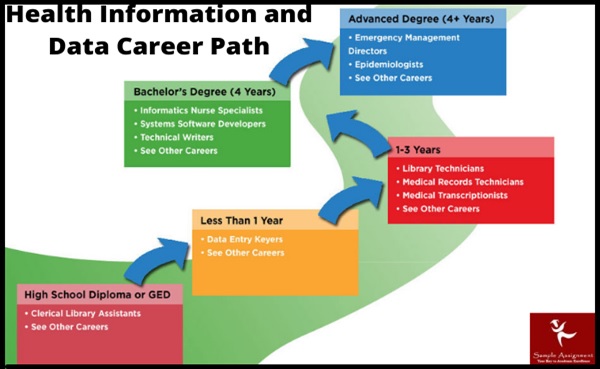 hbs 108 health information and data assignment help