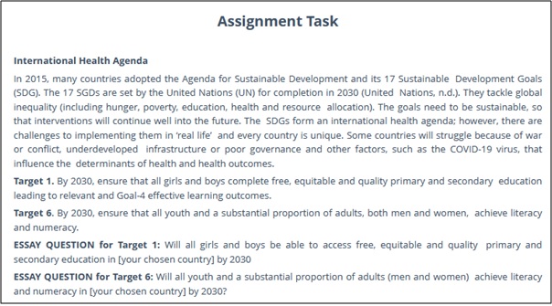 international health and development homework help sample assignment