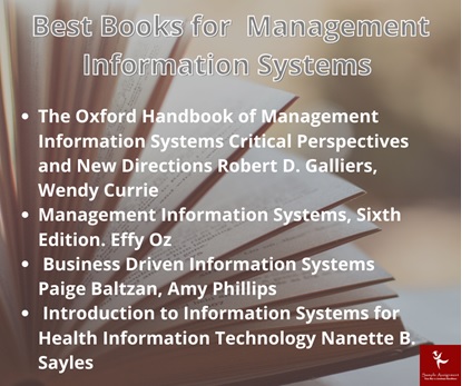 management information systems assignment help