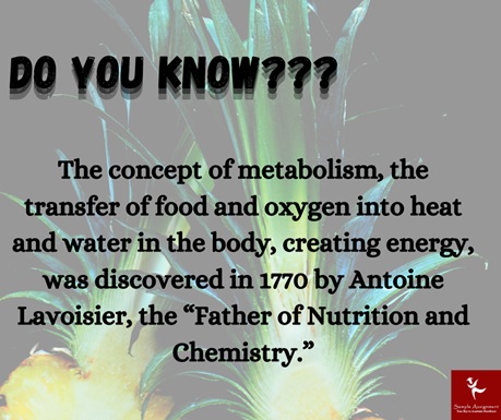 nutr2001 human nutrition 1 assessment answers