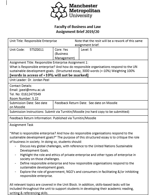 responsible enterprise assignment help sample question