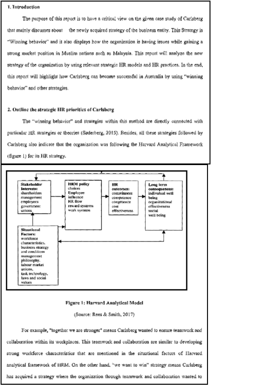 bachelor of business human resource management assignment help sample solution