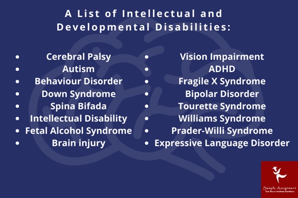 intellectual and developmental disabilities dissertation help