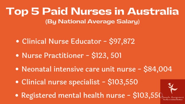 nurs5044 exploring nursing practice assessment answers