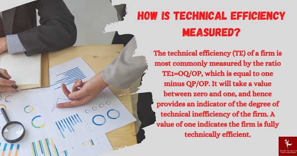 technical efficiency analysis assignment help