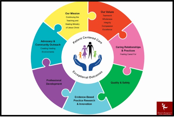 hosp1001 introduction to professional practice assessment answers