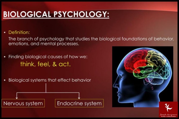 psy4131 developmental and biological psychology assessment answers