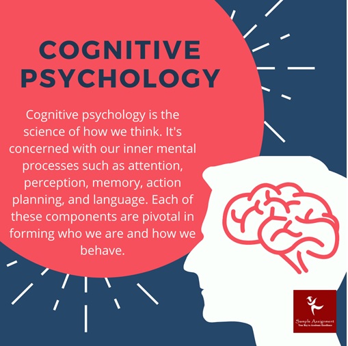 psyc3012 cognitive psychology assessment answer