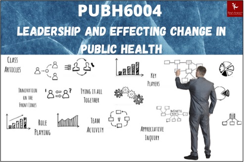 pubh6004 leadership and effecting change in public health assessment answer