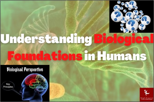 BFD105 biological foundations assessment answer