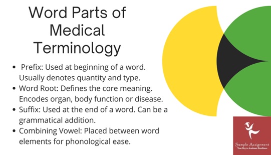 bsbmed301 assessment answers