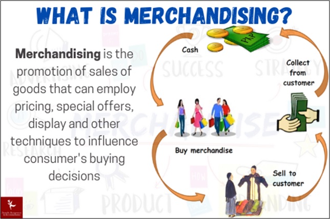 merchandising business assignment help