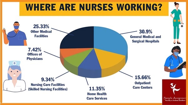 nurs8740 assessment answer