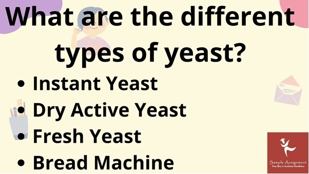 SITHPAT004 assessment answers