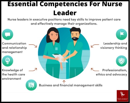 leadership in nursing assignment help