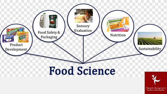 FBPFST5021 Assessment Answers