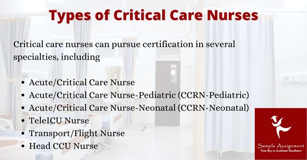 NURS8743 assessment answers