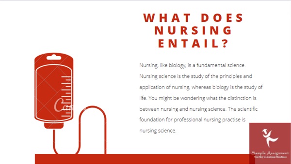 NURS9126 assessment answers