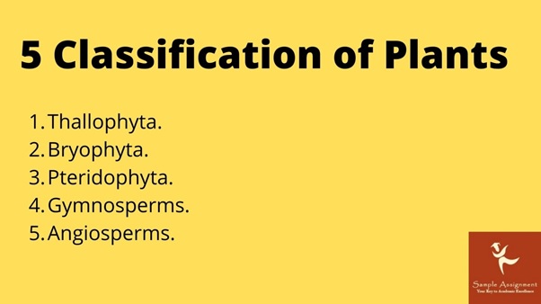 AHCPCM502 assessment answers