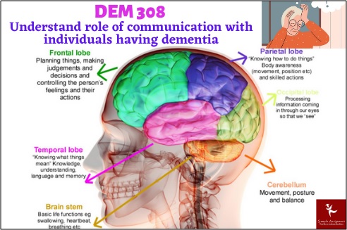 DEM 308 Assessment Answers