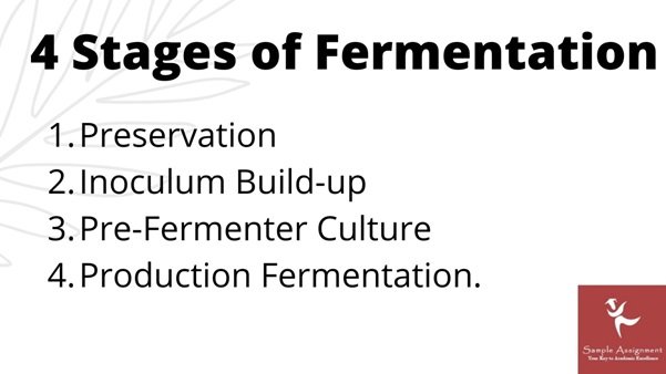 SCBRW5083 assessment answers