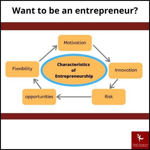 Entrepreneurship Foundations and Mindset Online Networking assignment help