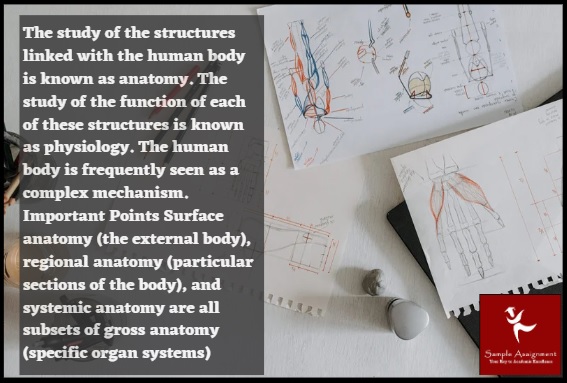 HBS109 Assessment Answers