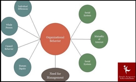 MGMT5022 Assessment Answers