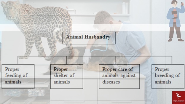 ACM40217 Assessment Answers