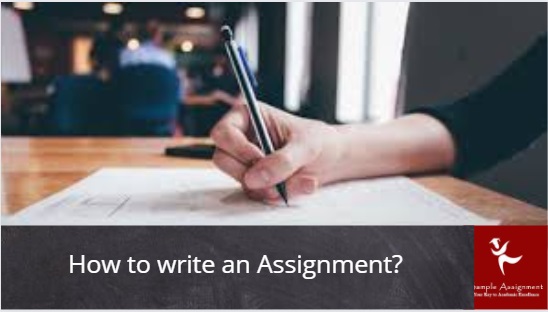 Assignment Writing Service