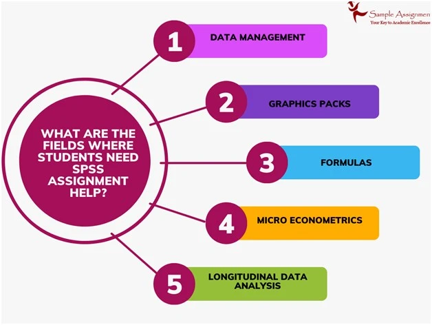 spss assignment help India