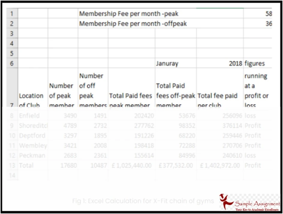 Excel Assignment Sample 3