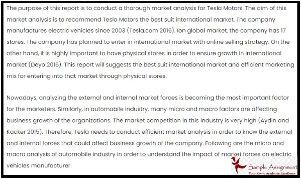 Tesla Case Study Assignment Sample 1