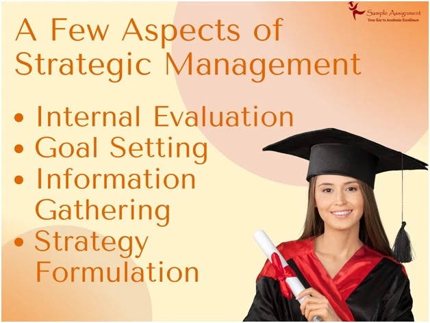 Strategic Management Assignment Help in India