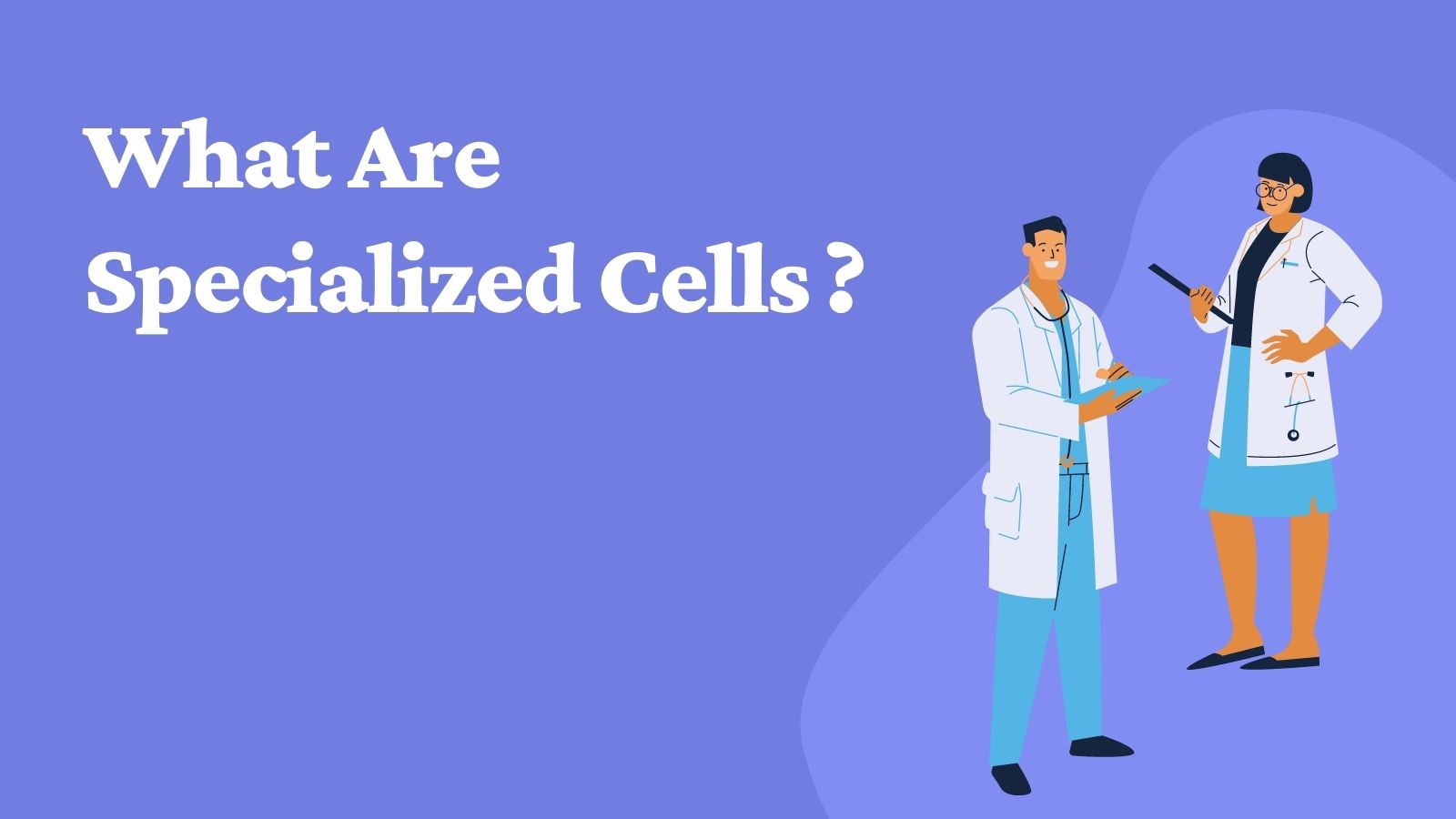 specialised cells