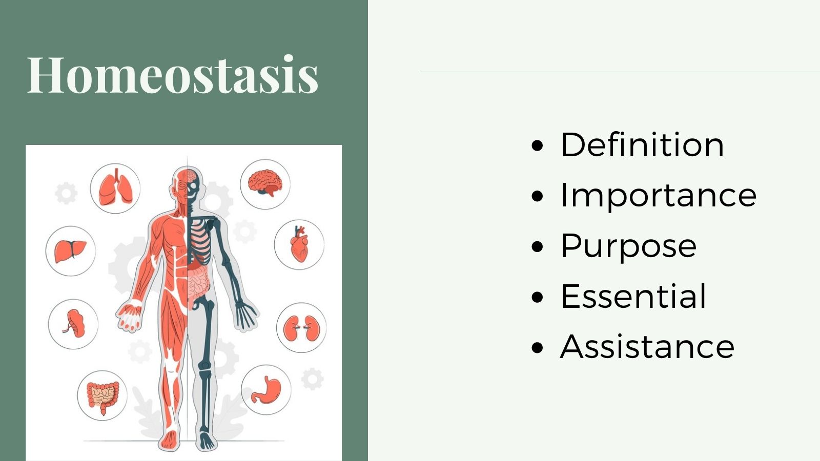 Homeostasis - Meaning and Importance