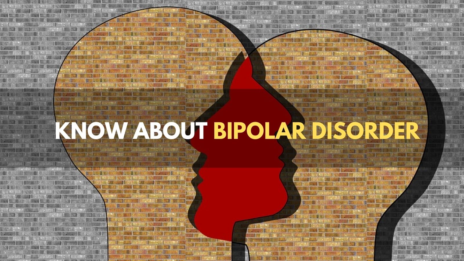 Bipolar Disorder