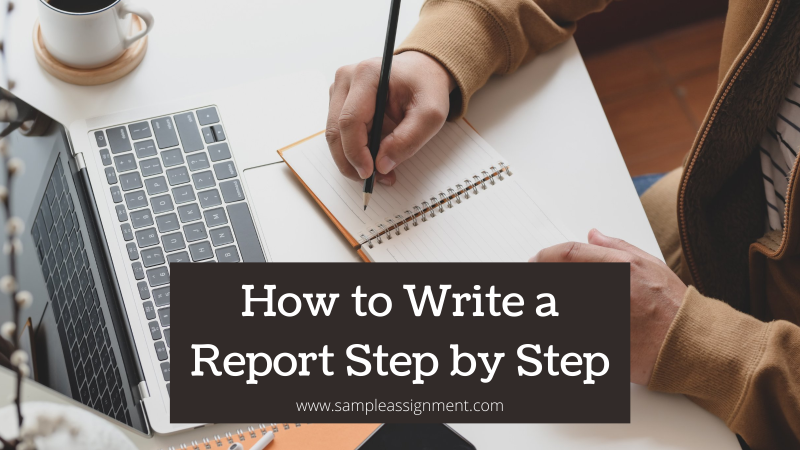 Steps To Write A Report