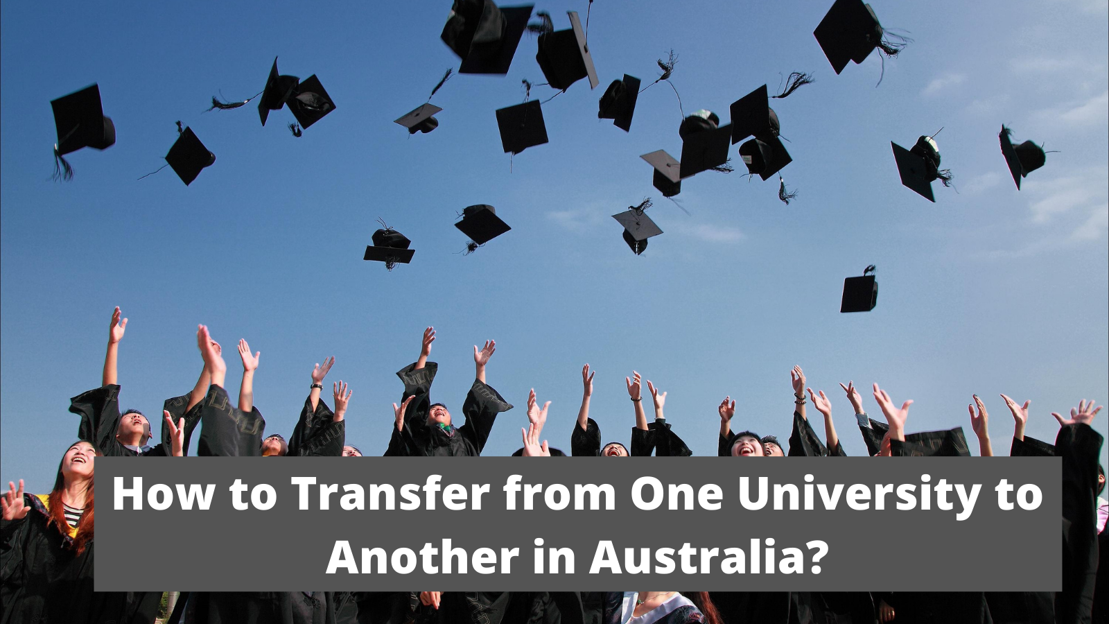 How to Transfer from One University to Another in Australia?