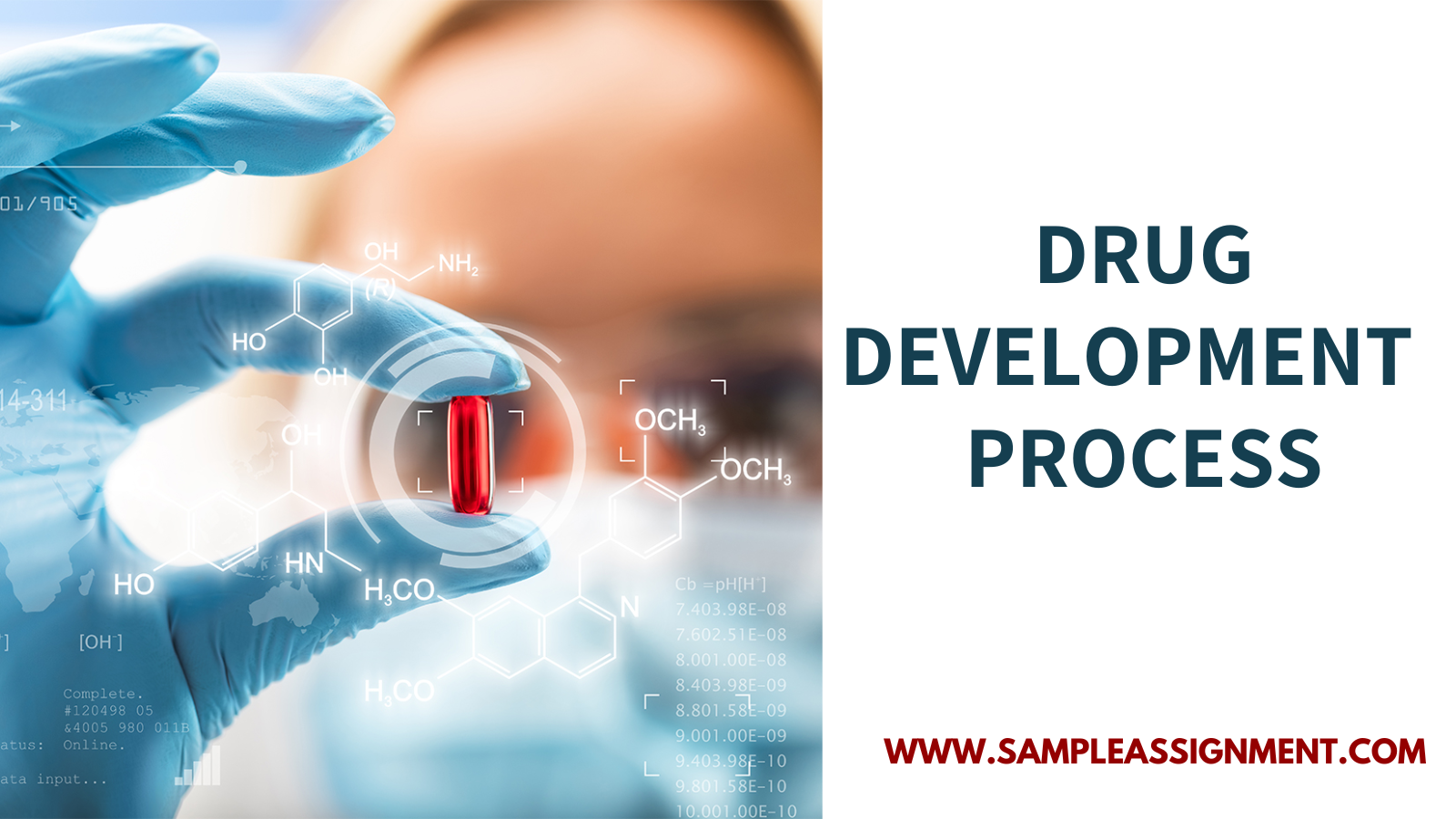 Drug Development Process